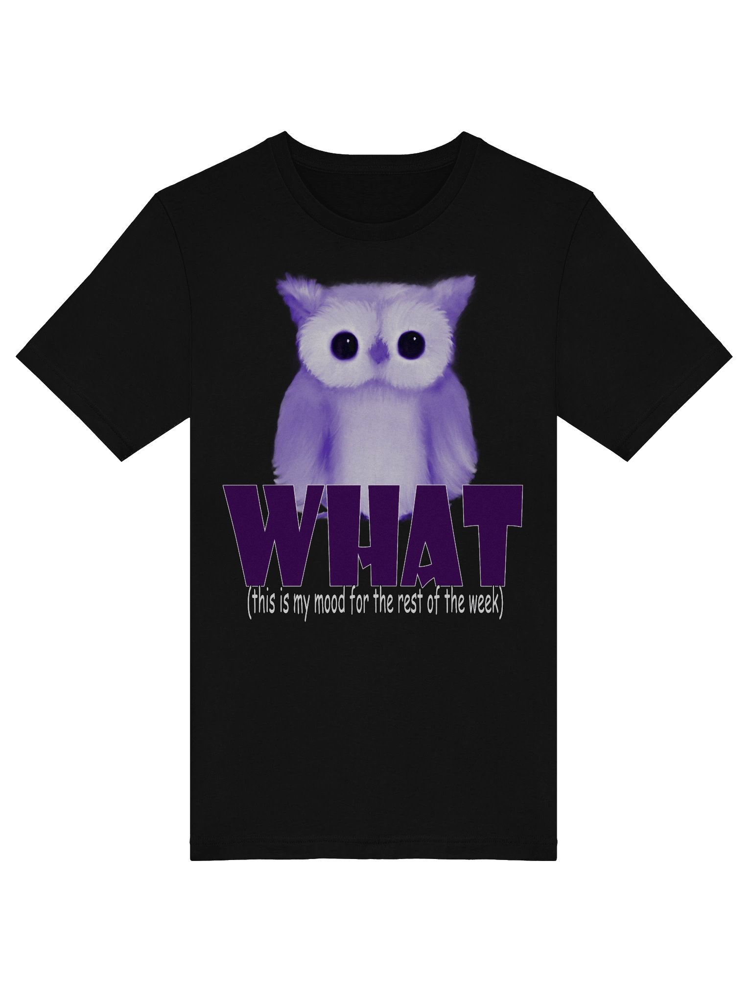 Whimsical Owl Mood T-Shirt product image (5)