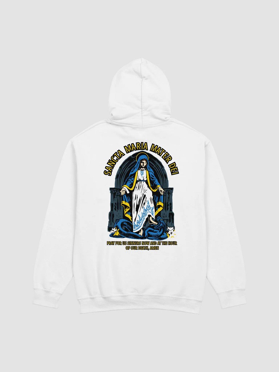 Most Holy Mary Theotokos Ora Pro Nobis product image (3)