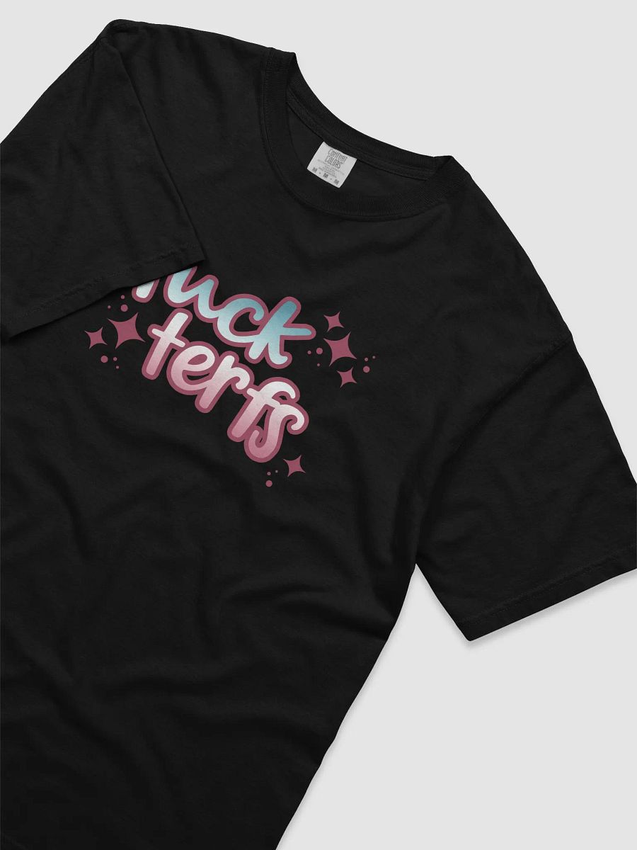 F#$K TERFs product image (15)