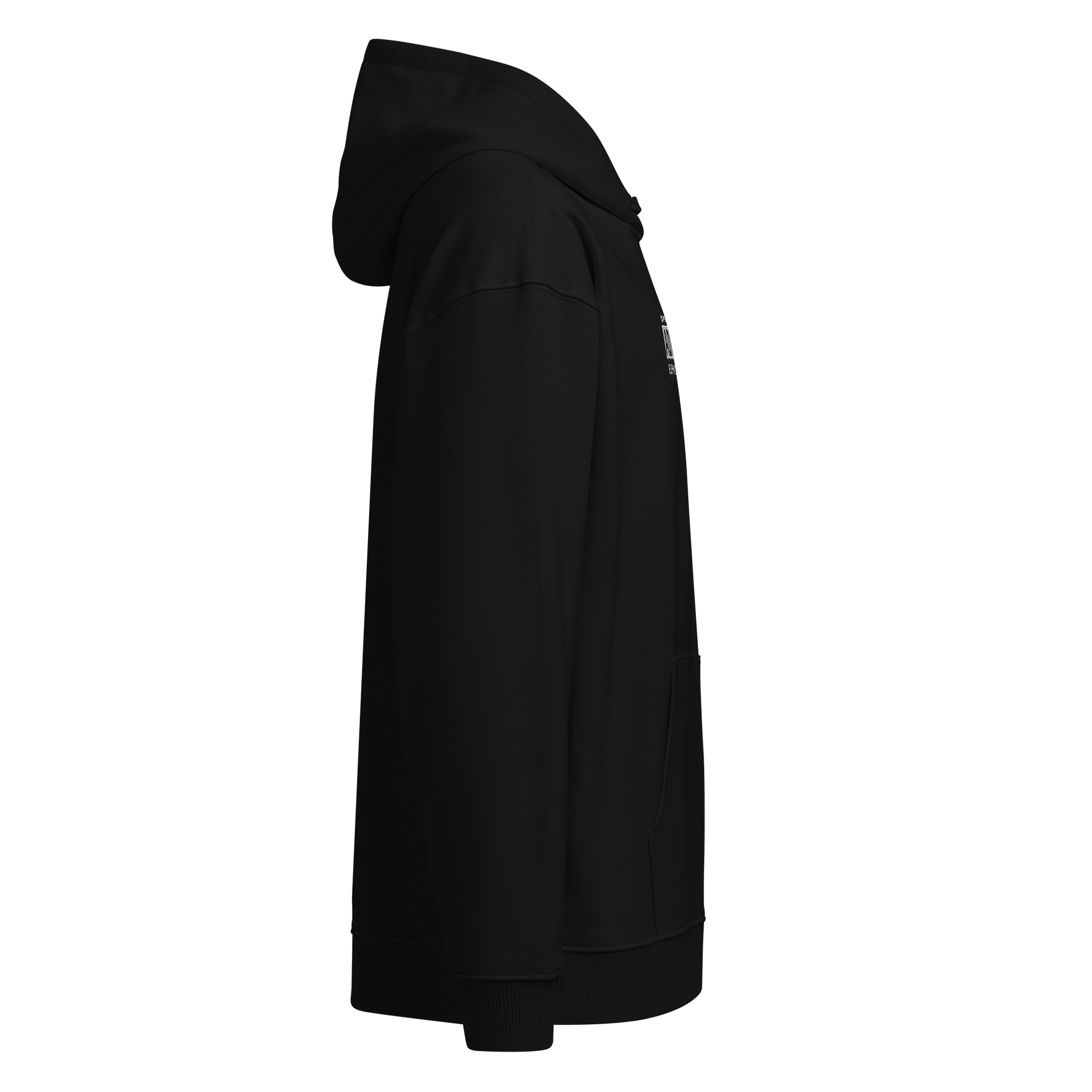 SPIRITUAL ADVISORY: EUPHORIC CONTENT EMBROIDERED HOODIE product image (7)