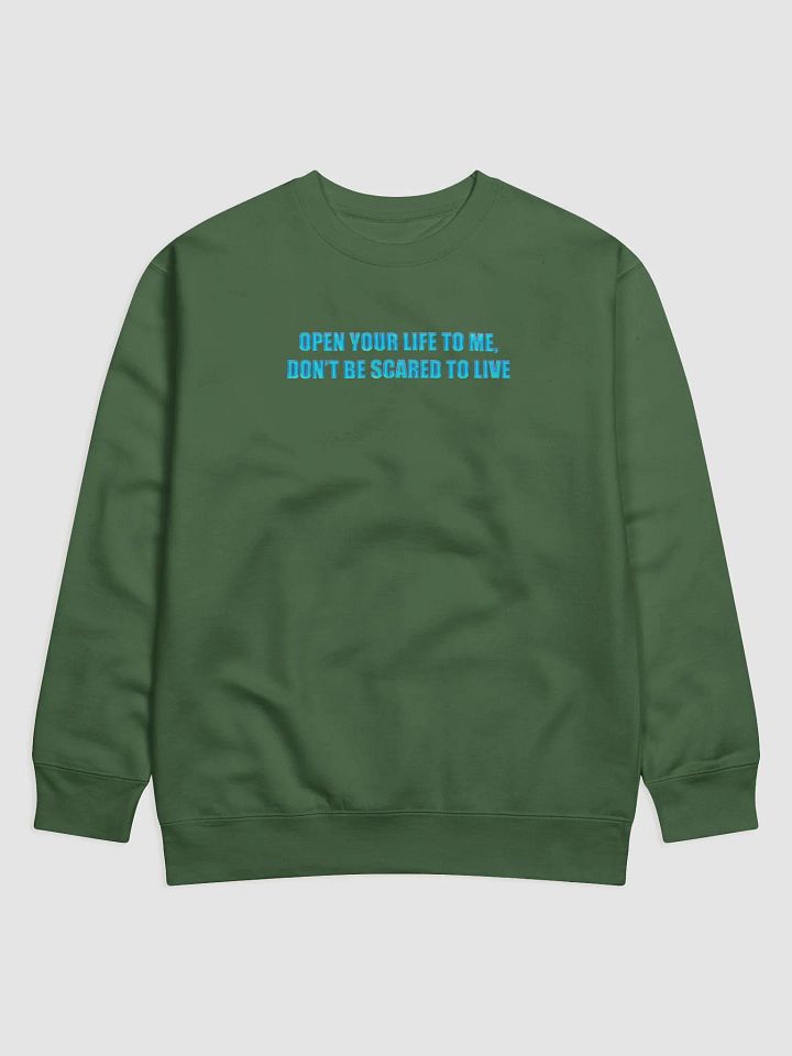 Open Your Life to Me, Don't Be Scared to Live Sweatshirt product image (21)