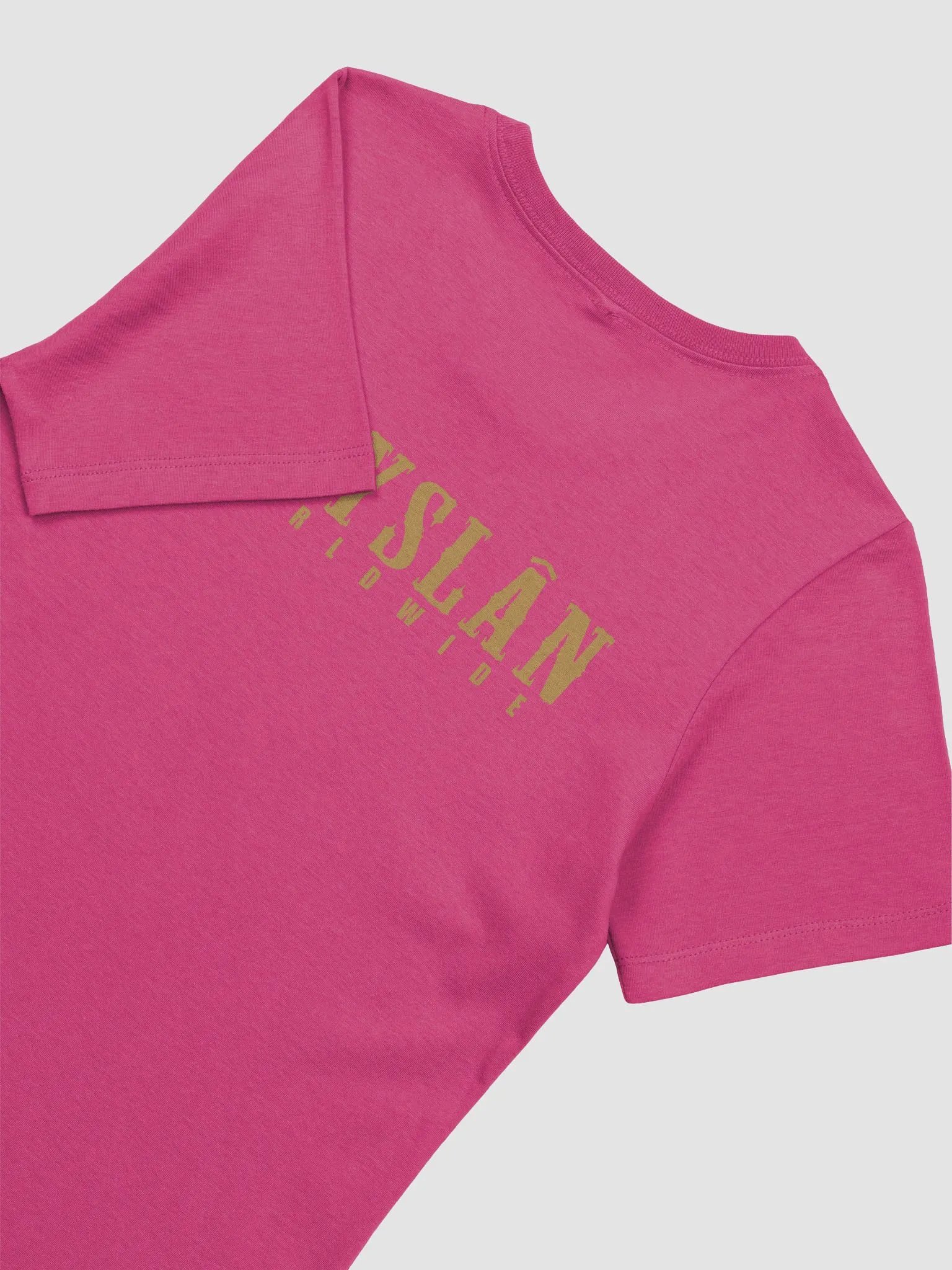 Fryslân Worldwide Horse - Women's Tee product image (8)