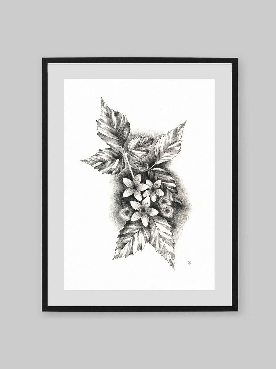 Botanical Bliss Matte Poster - Jasmine product image (9)