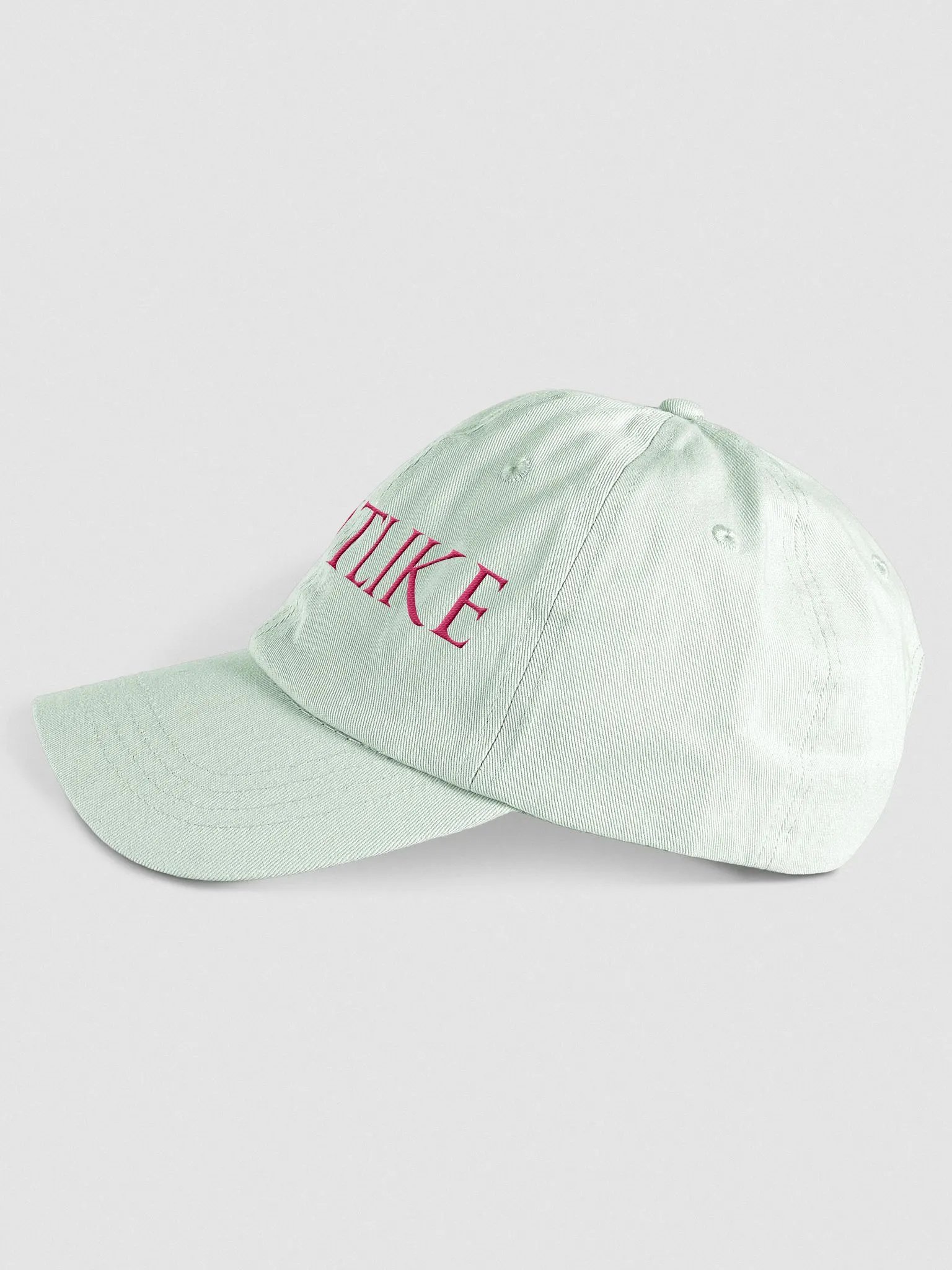 SAINTLIKE HAT MUTED product image (3)