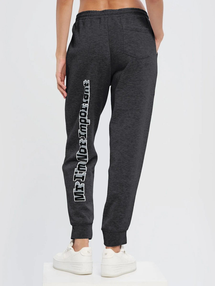 Midweight Fleece Joggers - Mr I'm Not Important product image (5)