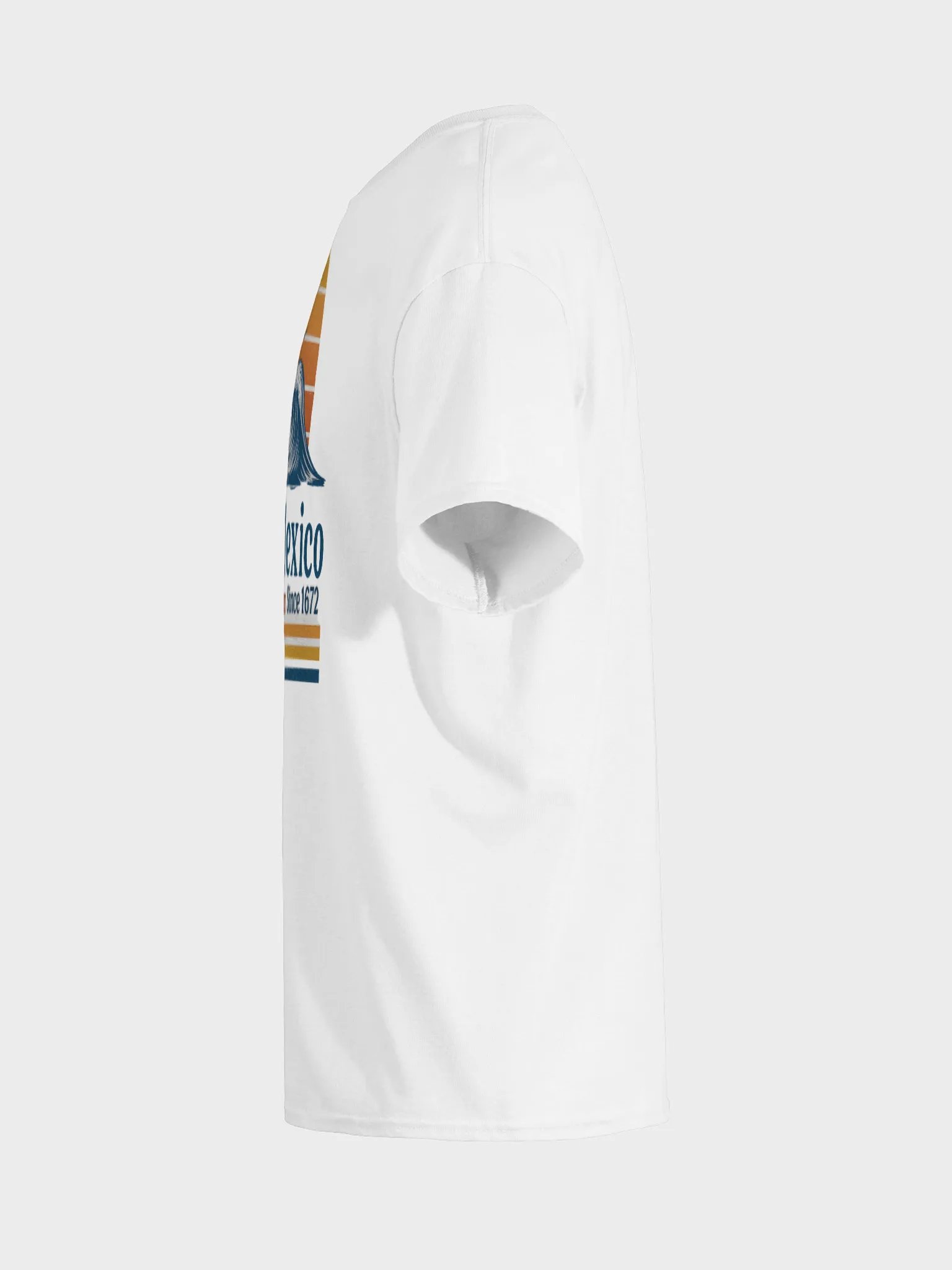 Beach Gulf of Mexico T-shirt product image (19)