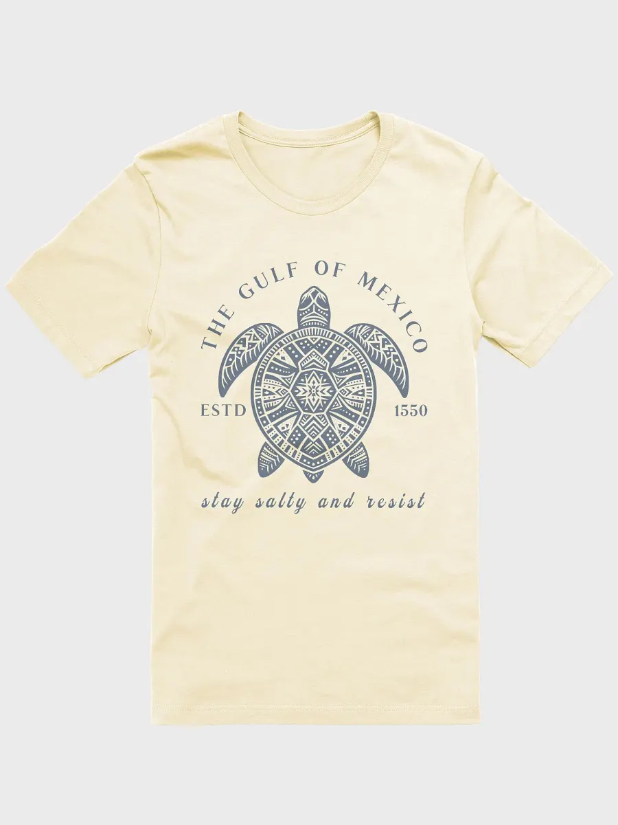 Gulf of Mexico Sea Turtle T-Shirt product image (33)