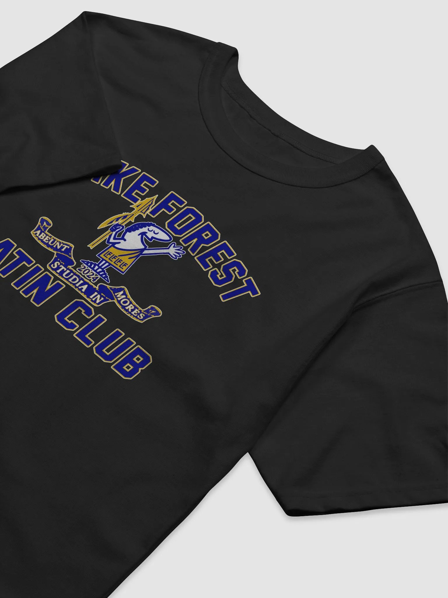 Lake Forest Latin Club *Champion* T-Shirt product image (12)
