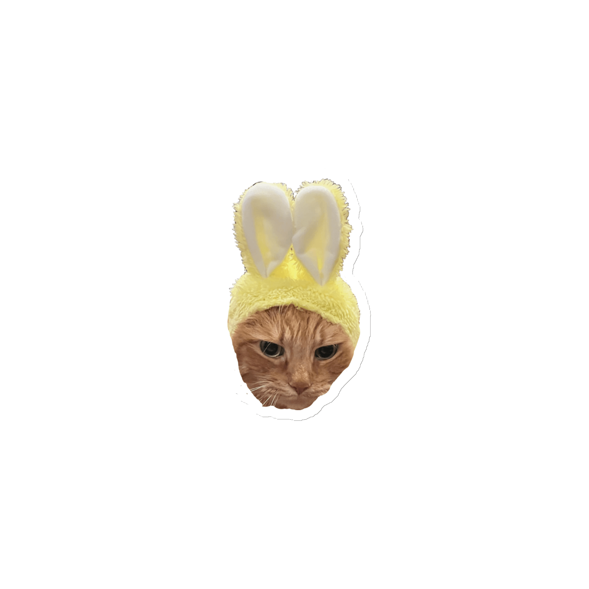 Bunny Cat Linus Magnet product image (1)