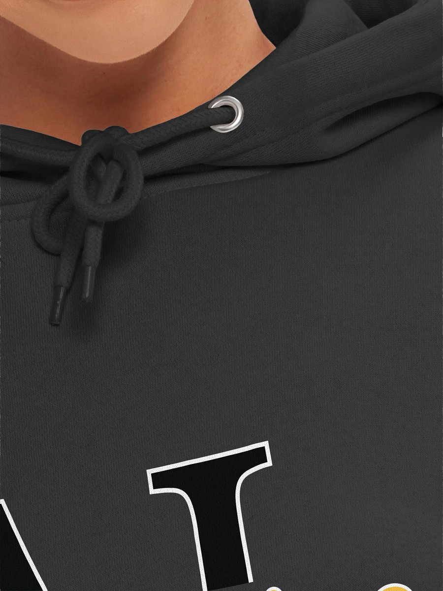 Afro-Latino Excellence Logo Hoodie product image (7)