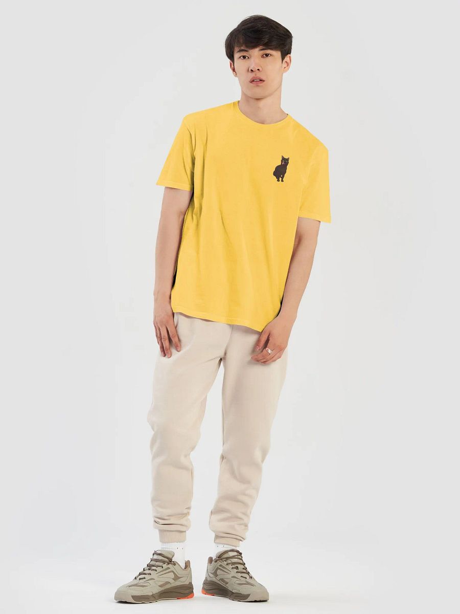 Raven logo T-shirt product image (60)