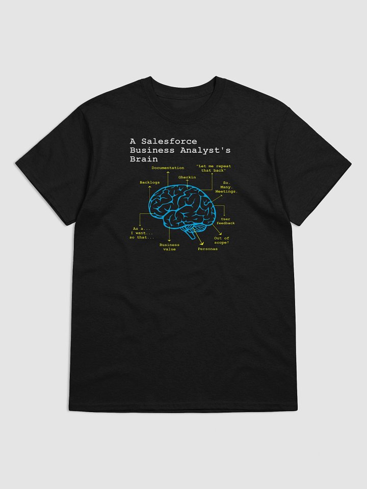 A Salesforce BA’s Brain product image (1)