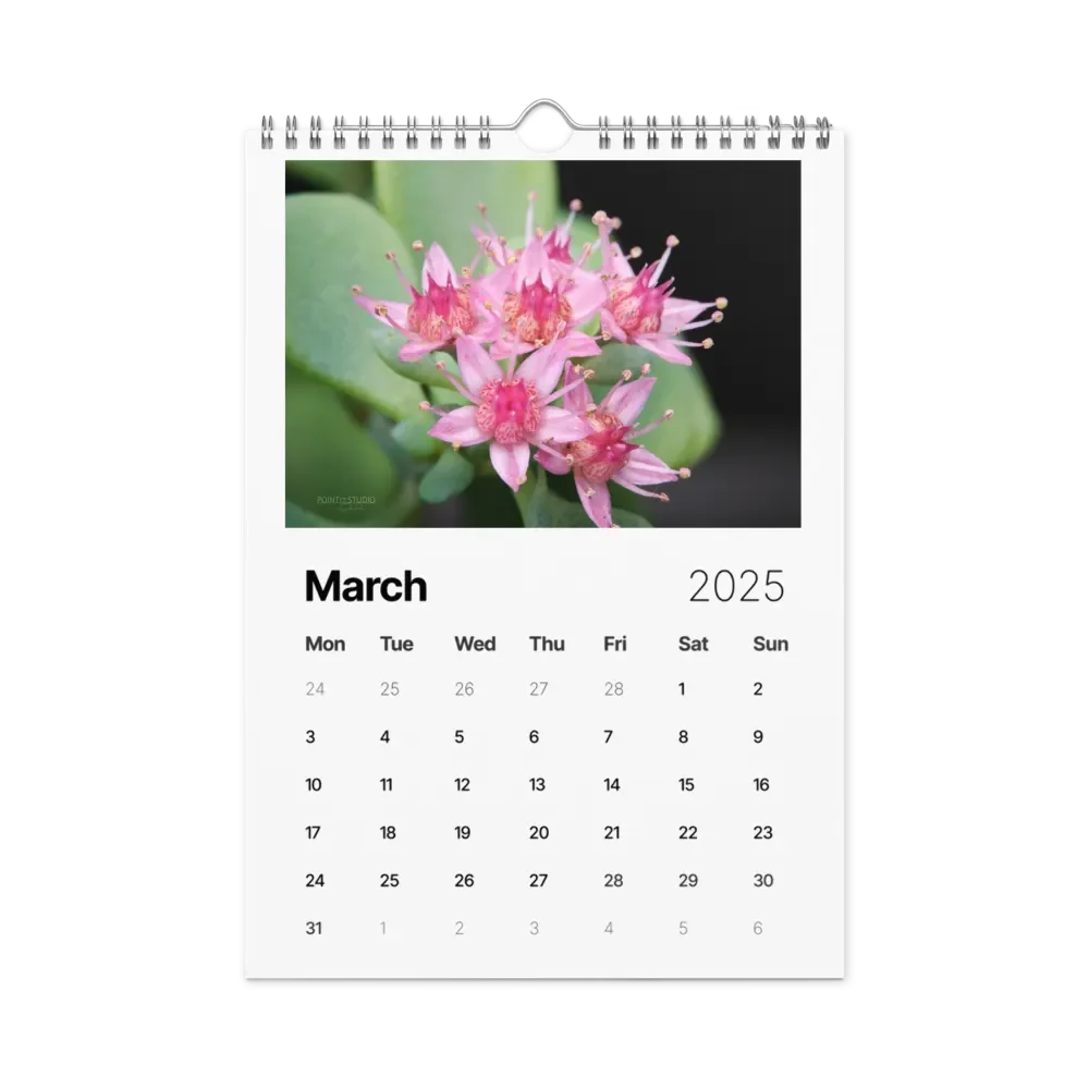 Pure Colors 2025 Wall Calendar product image (4)