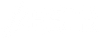 ÆSIR Store