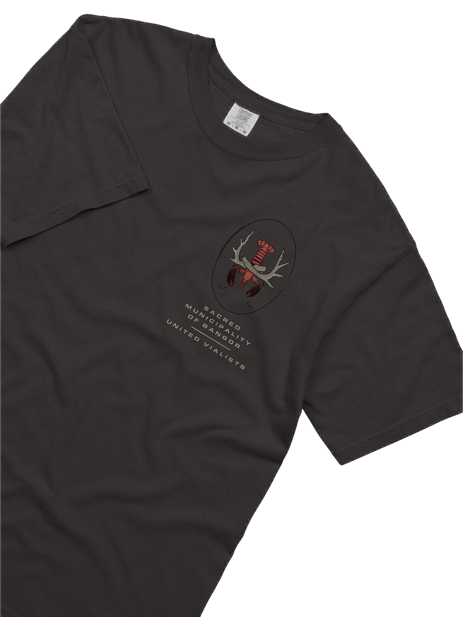 Bangor Clobster T-Shirt product image (5)