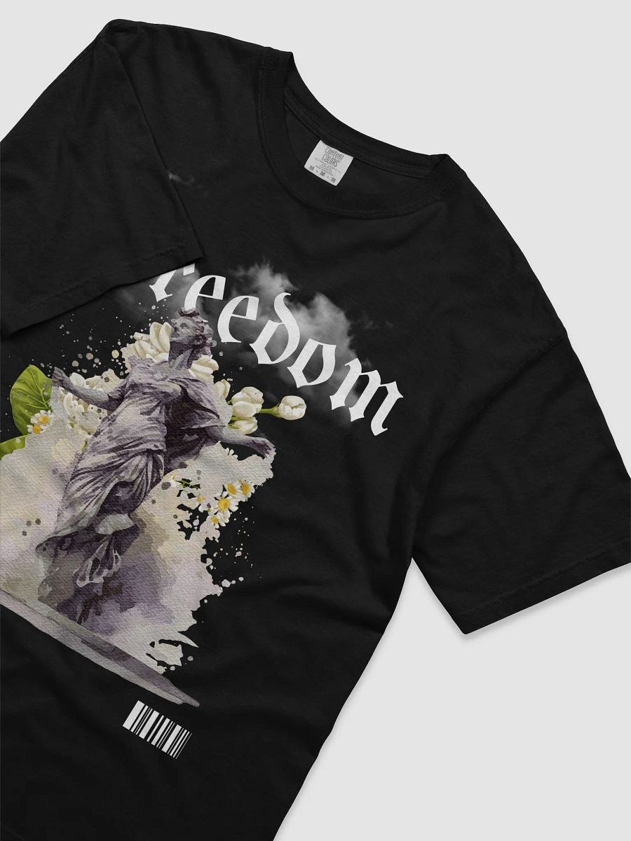 Freedom on the Way - Limited Edition product image (3)