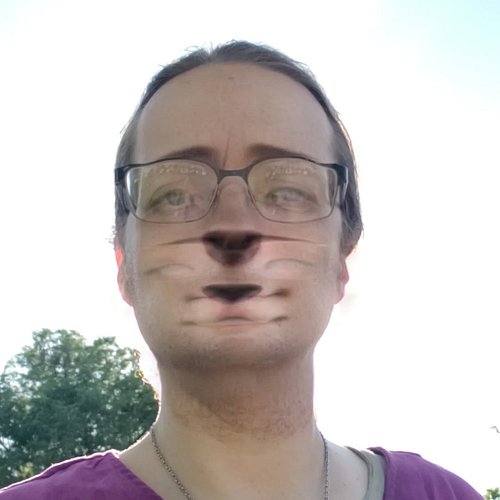 So, my favorite @snapchat filter broke. This is very saddening.