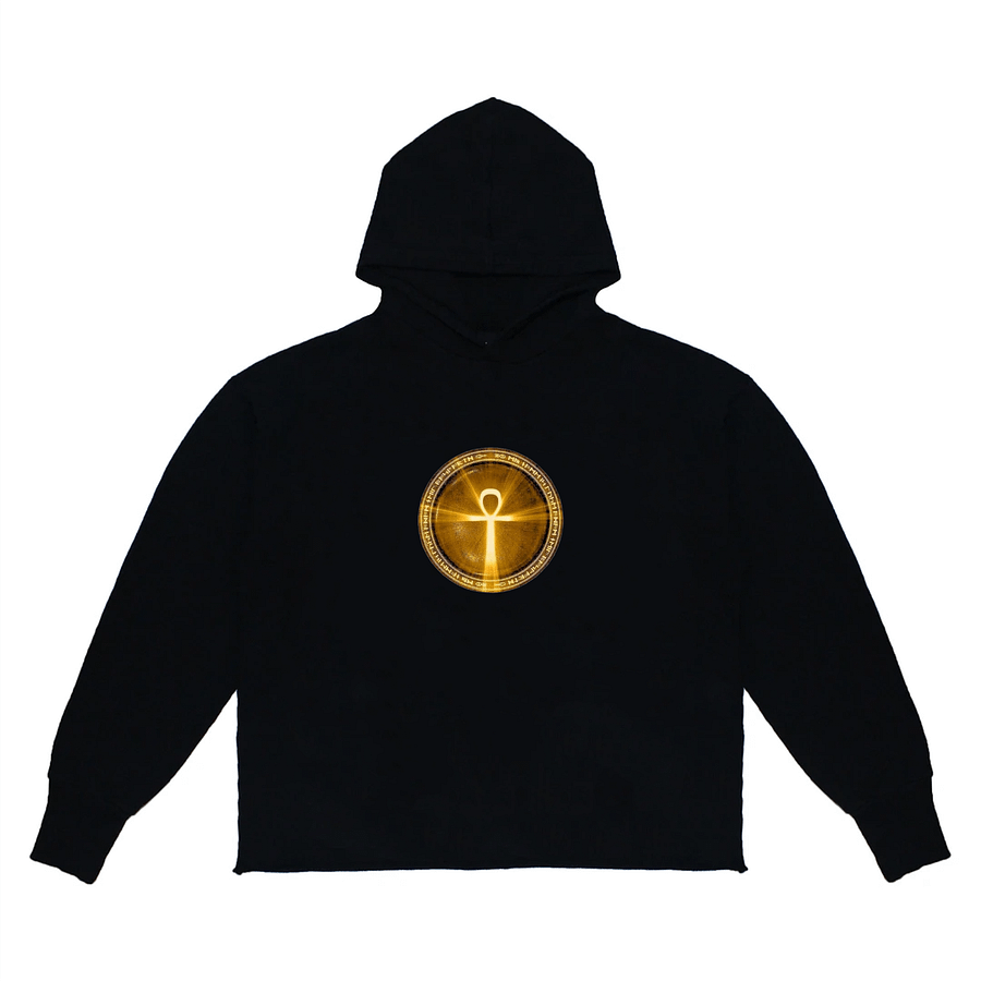 Gold Ankh Hoodie product image (1)
