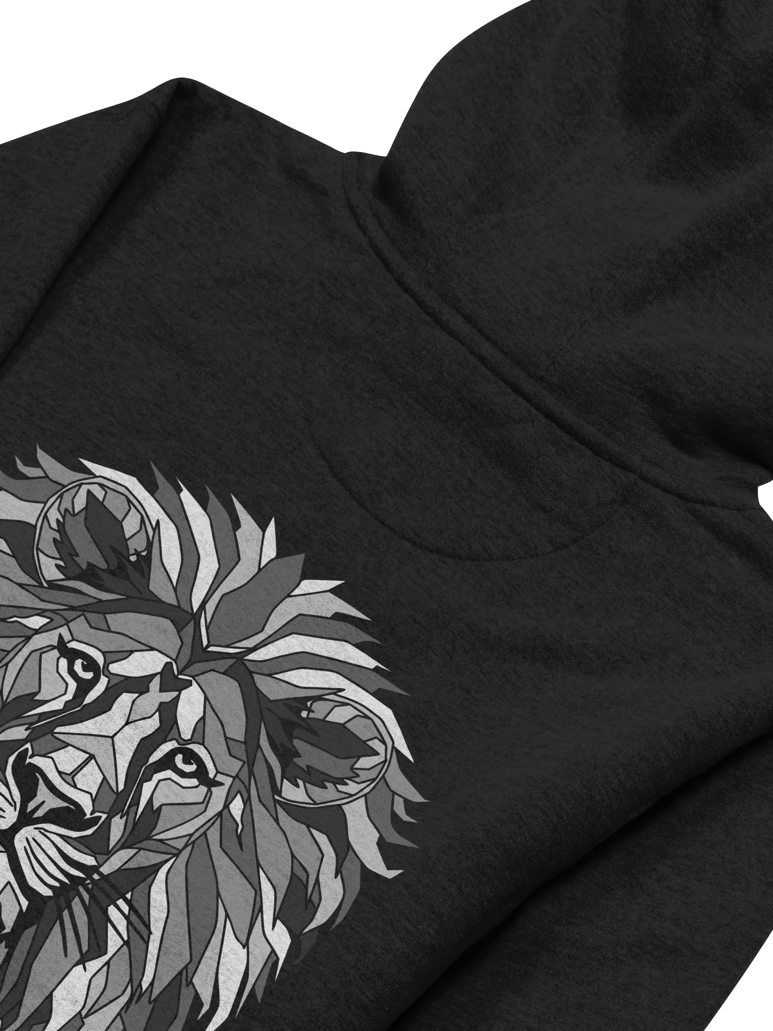 Lion of Judah Abstract | Hoodie product image (14)