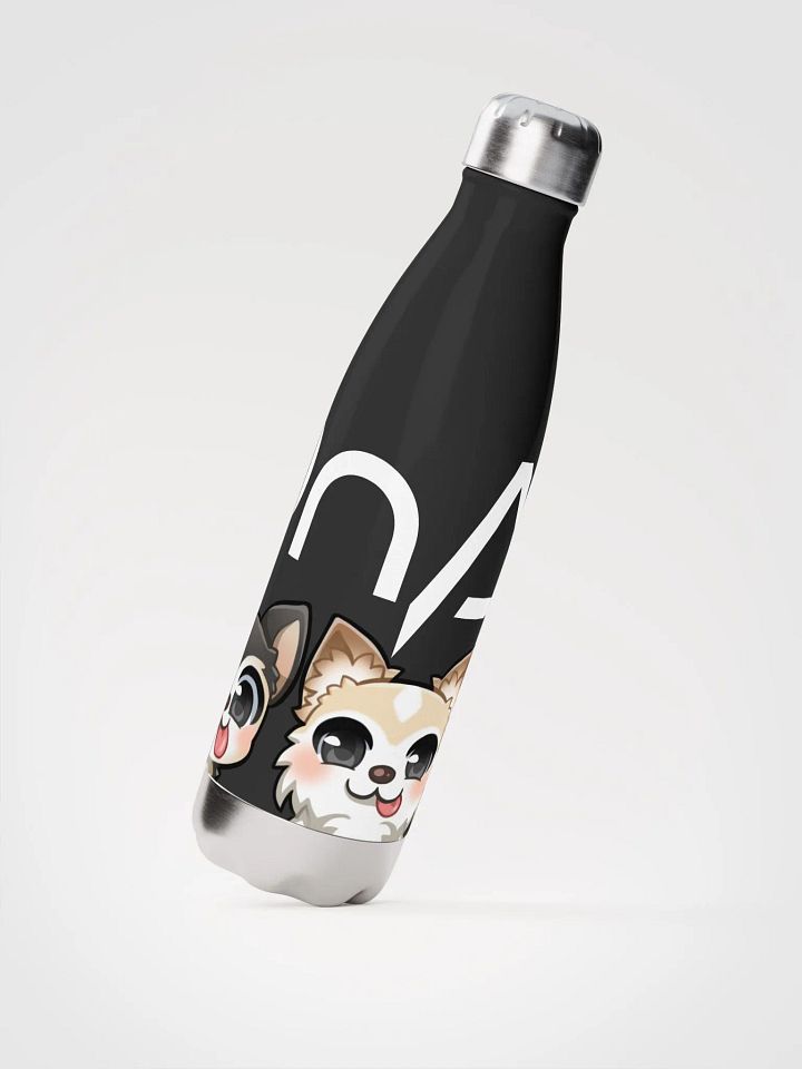 Steel Water Bottle (DnA) product image (2)