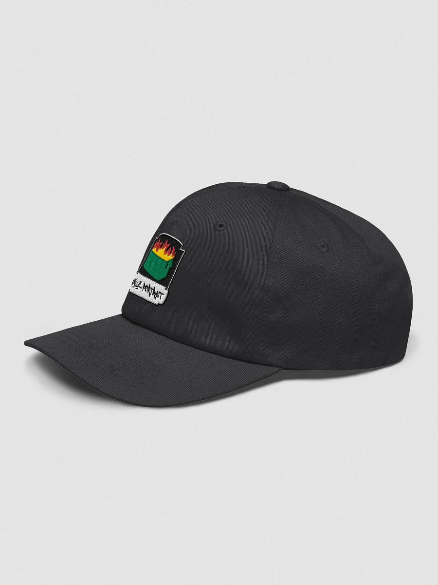 Dumpster Fire Cap product image (3)