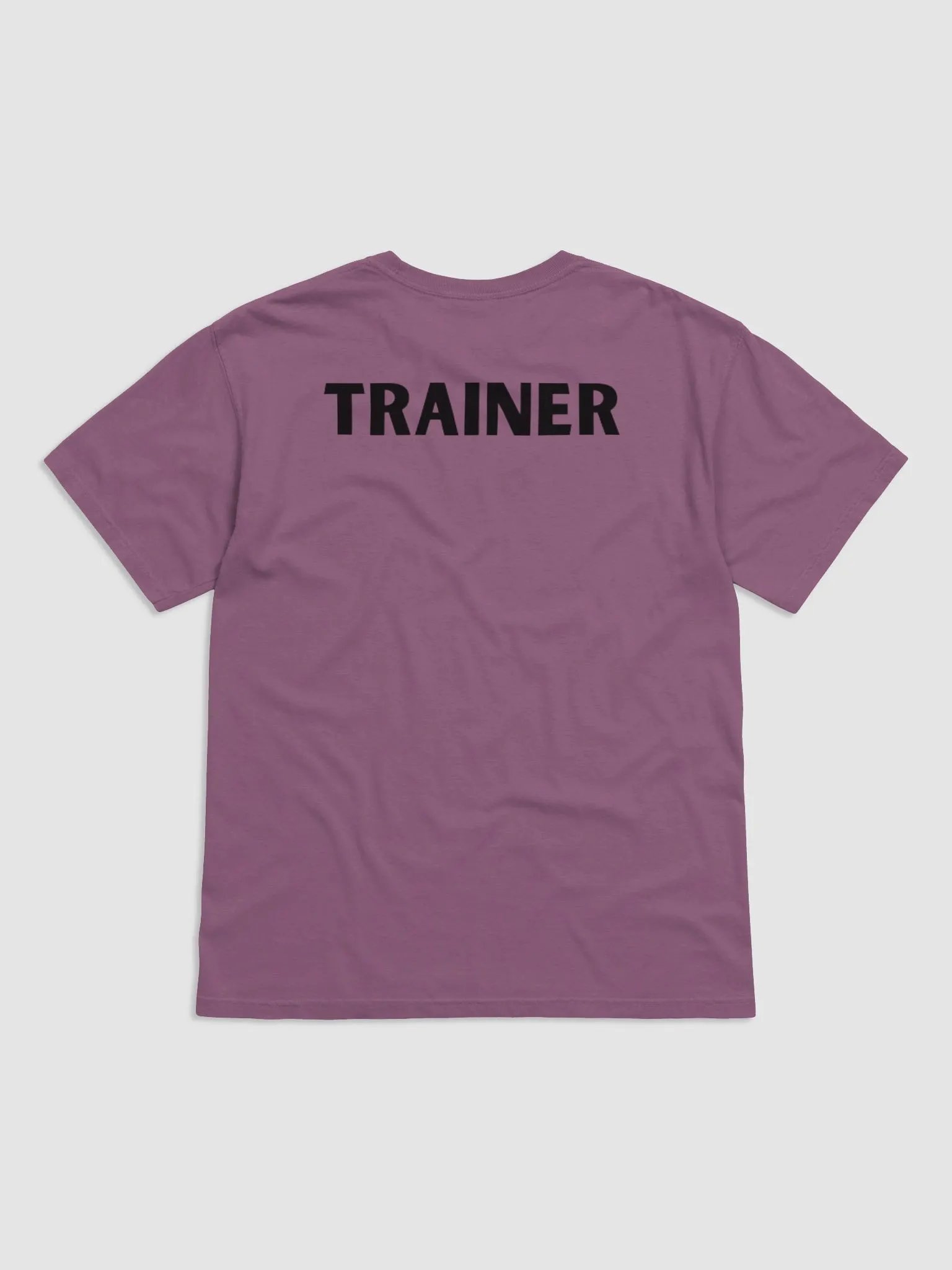 NGPT Trainer Tee product image (11)