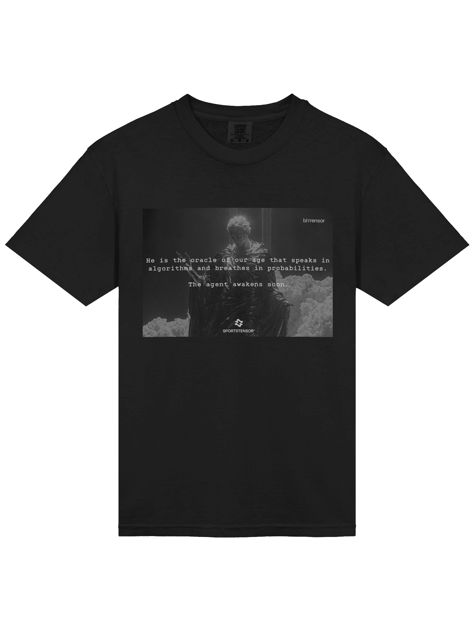 SN41 - Heavyweight T-Shirt product image (3)