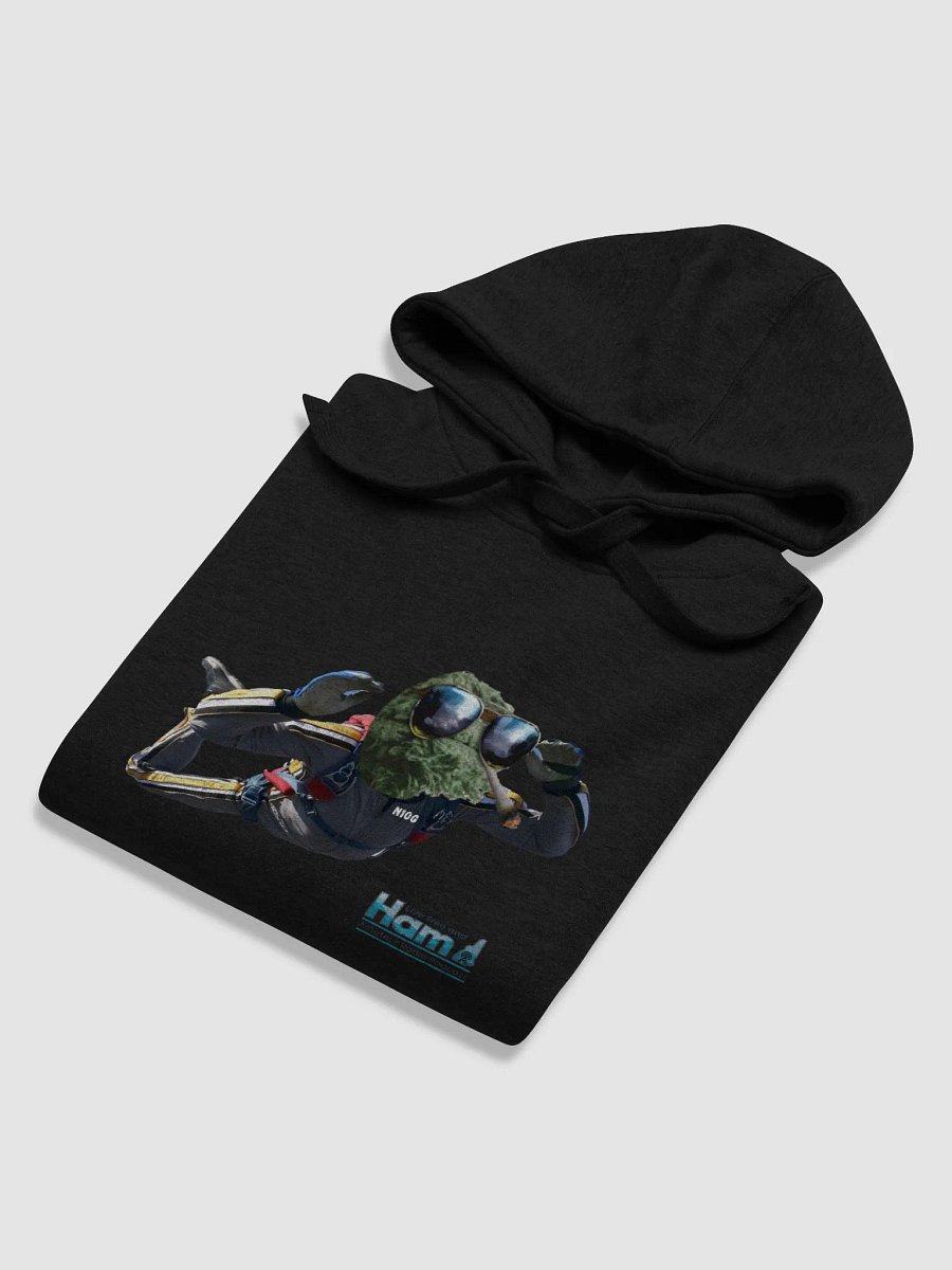 N1OG Skydiving LFH Hoodie product image (4)