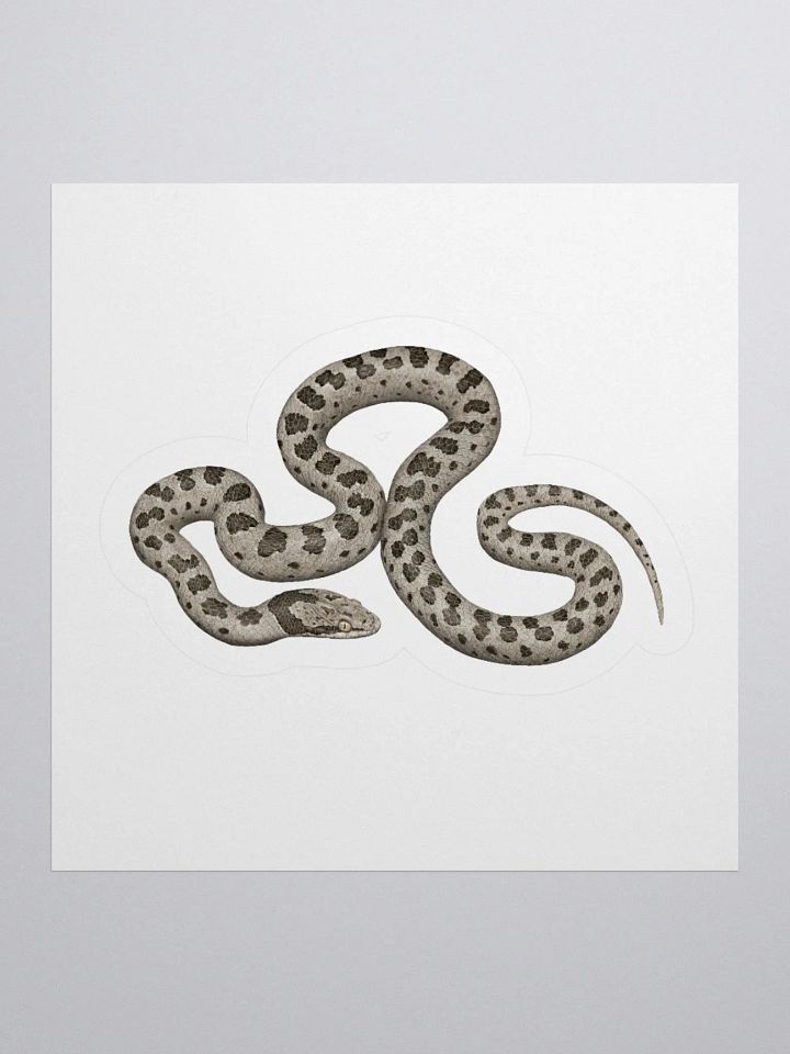 Die-Cut Sticker – Desert Nightsnake product image (1)