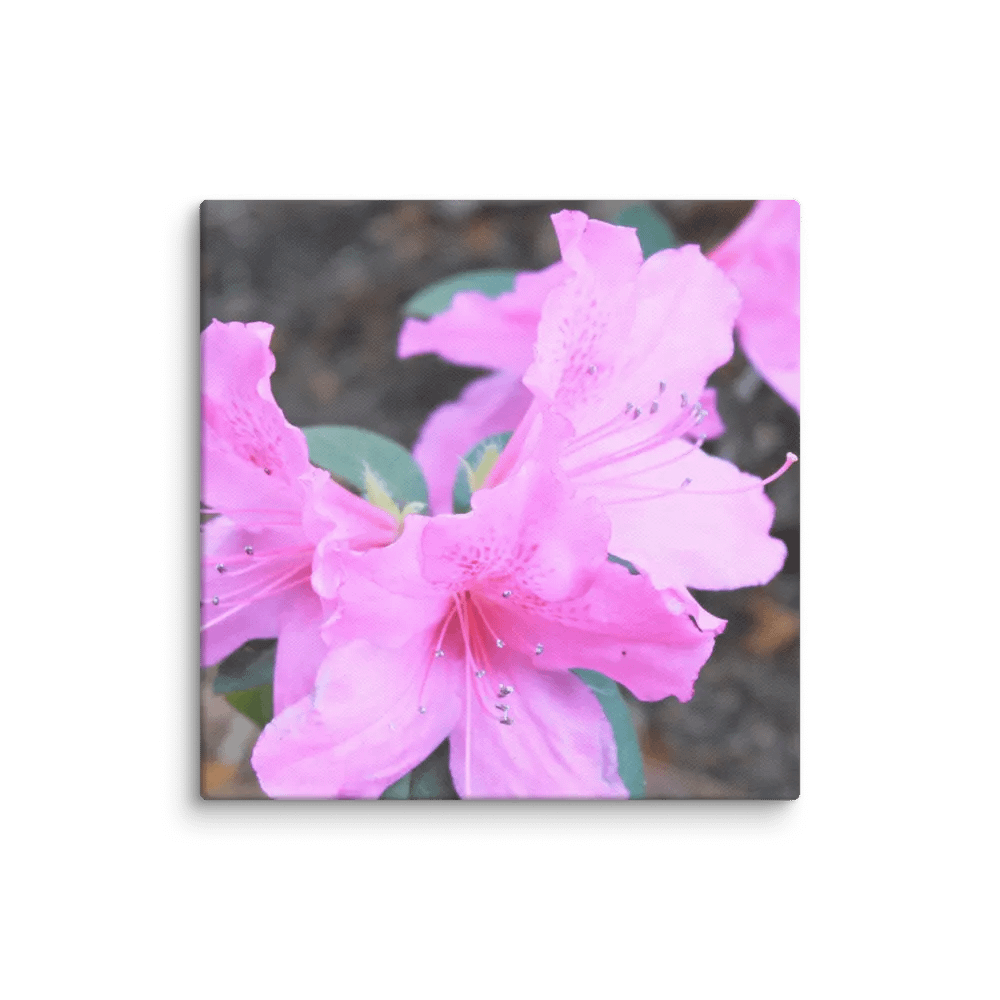 A Study in Flowers 1 product image (30)