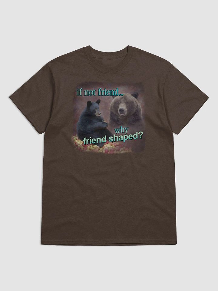 If Not Friend, Why Friend Shaped Bear T-shirt product image (1)