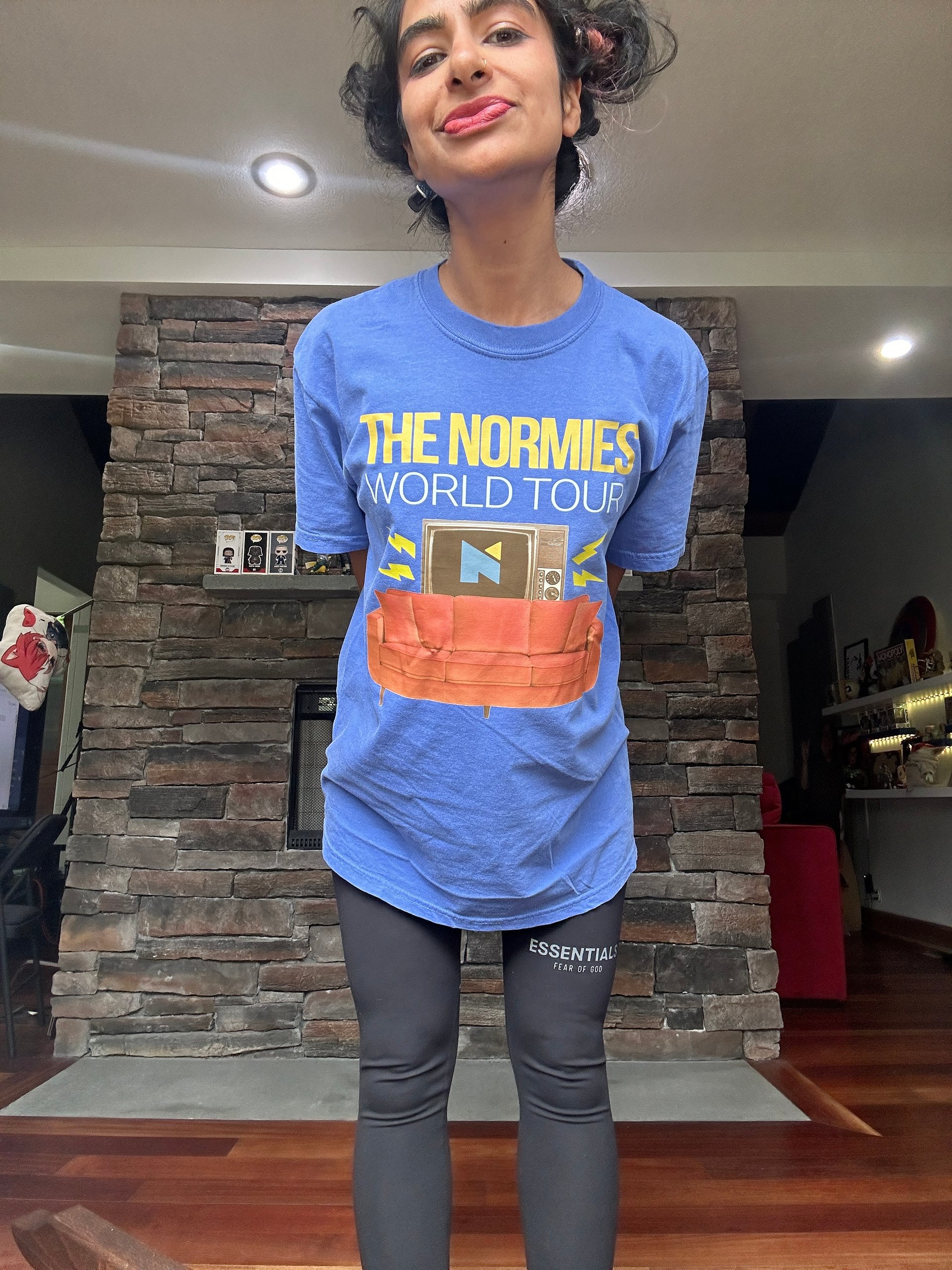 Normies World Tour product image (1)