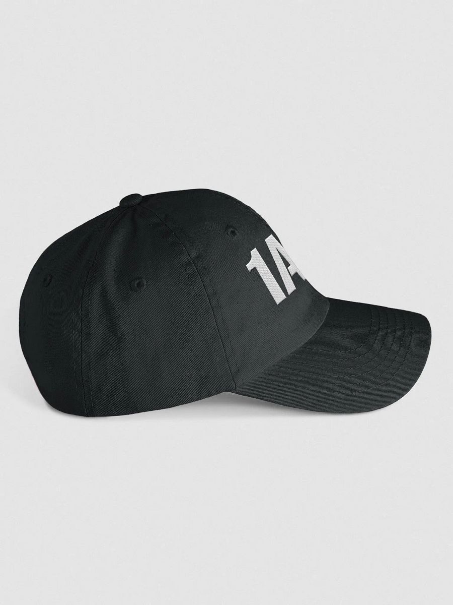1A 2A Youth Biowashed Dad Hat product image (4)