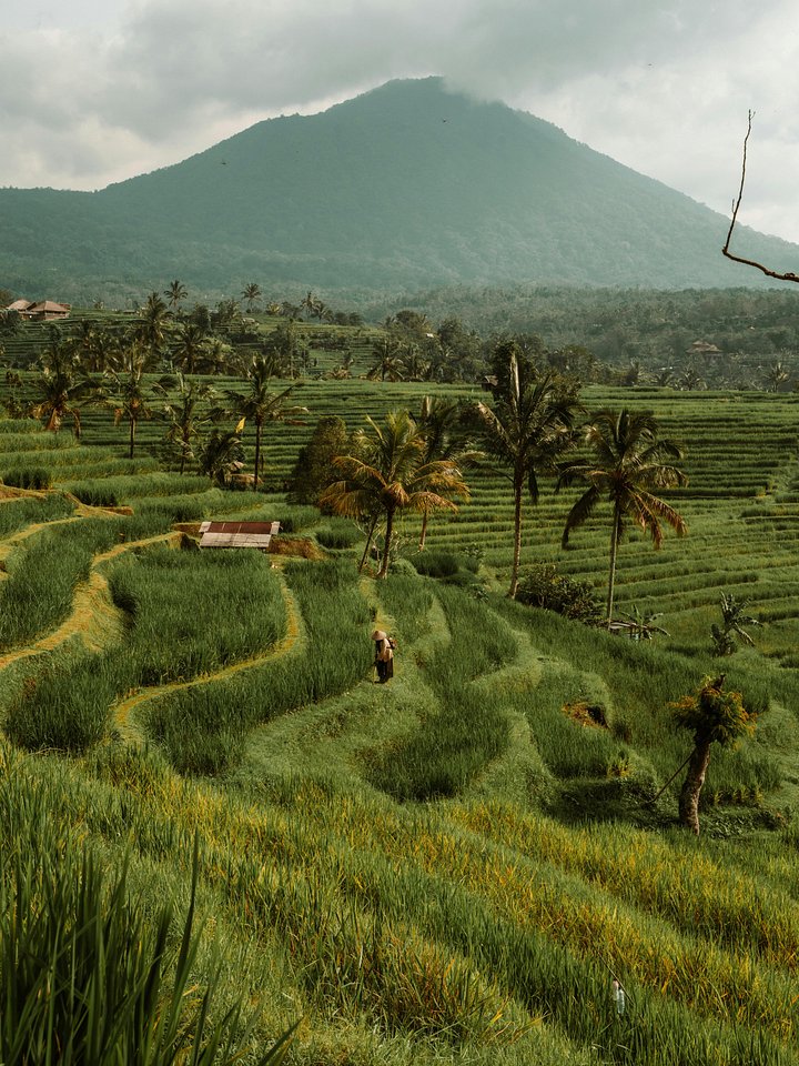 How to spend 48 hours in Bali product image (1)