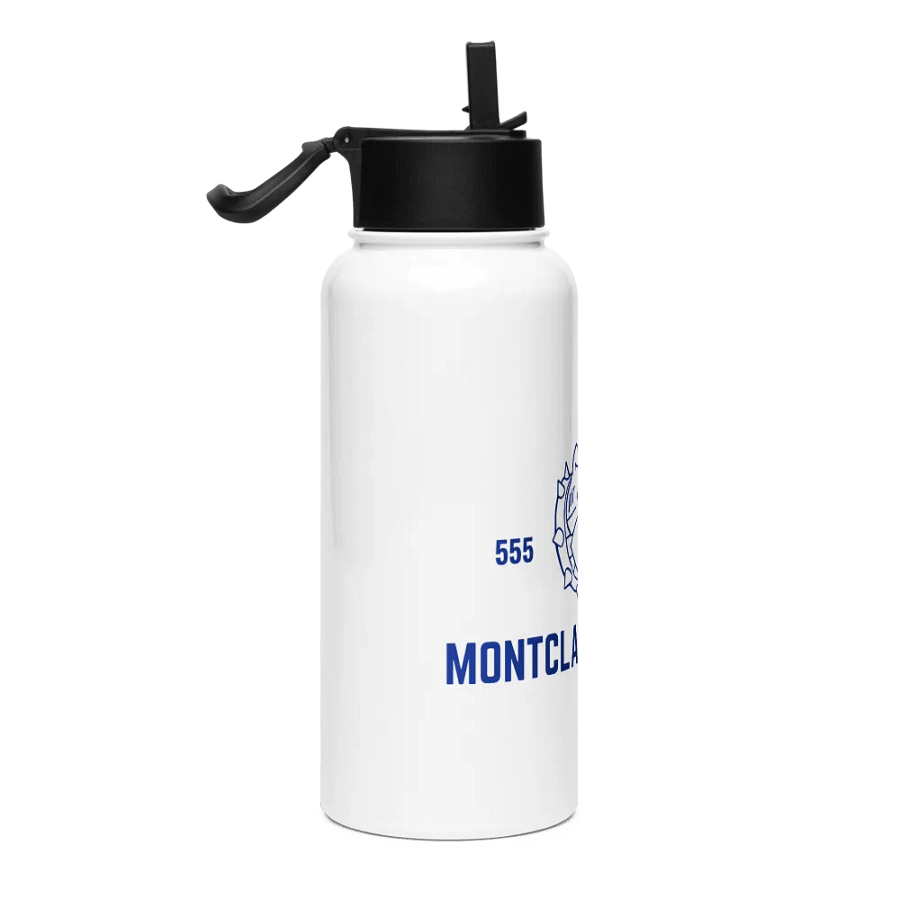 Stainless Steel Water Bottle product image (4)