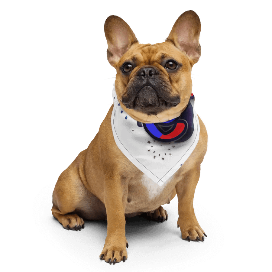 Belize September Celebration 2024 Theme Bandana product image (6)