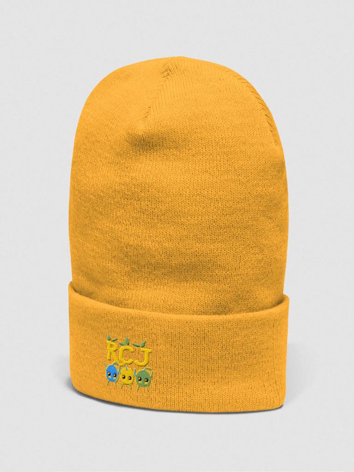 RCJ Beanie product image (22)
