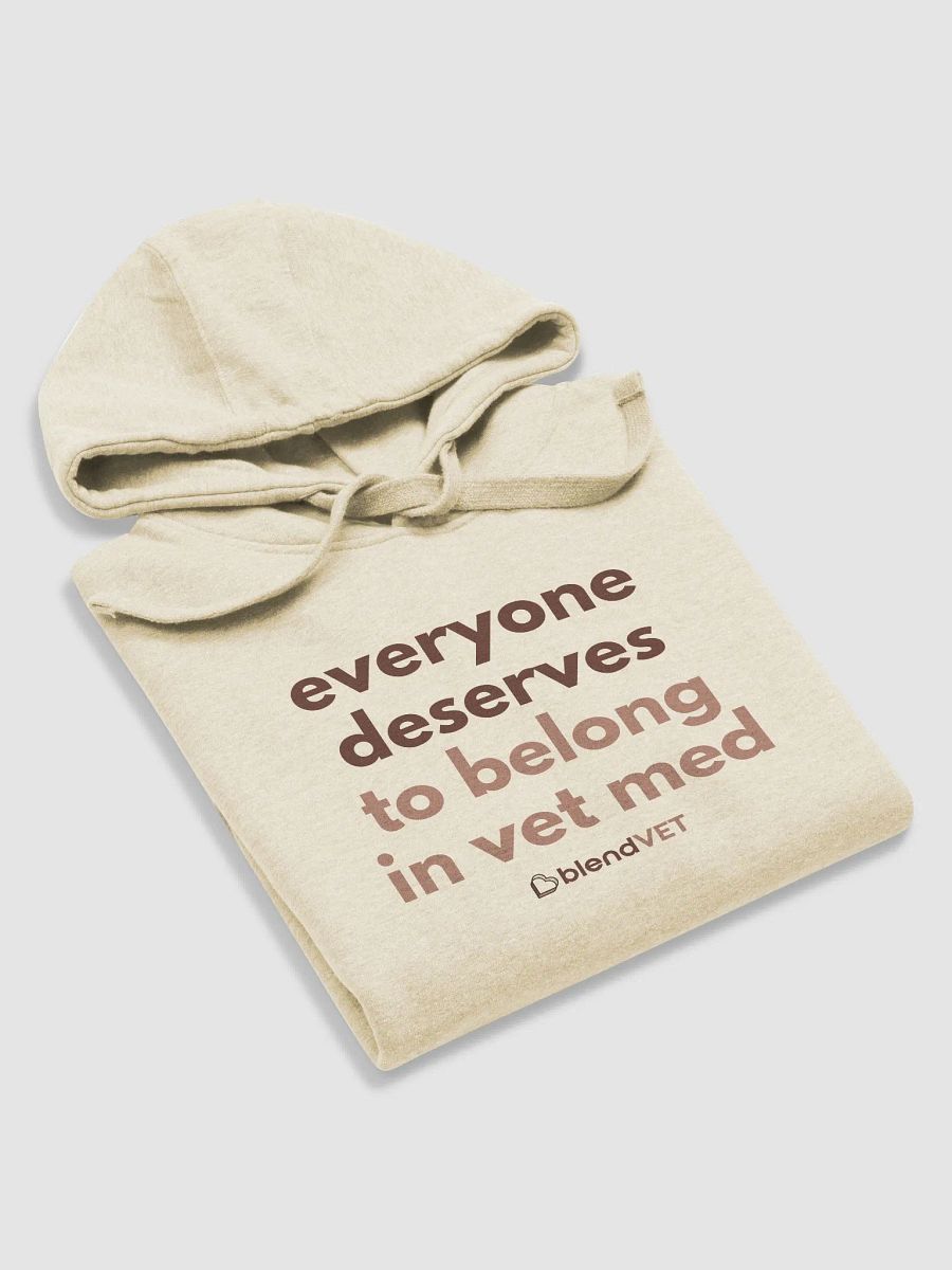 Belonging Hoodie product image (5)