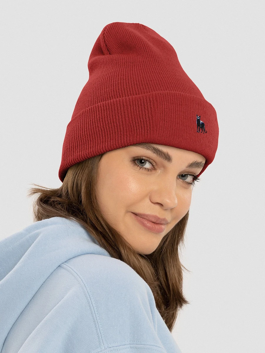 Yupoong Cuffed Beanie: Russian Blue product image (34)