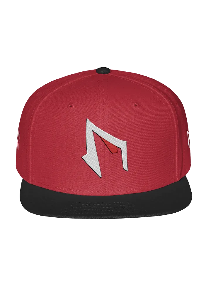 FAME PRODUCTIONS Multi LOGO FLAT BRIM HAT SNAP BACK product image (1)