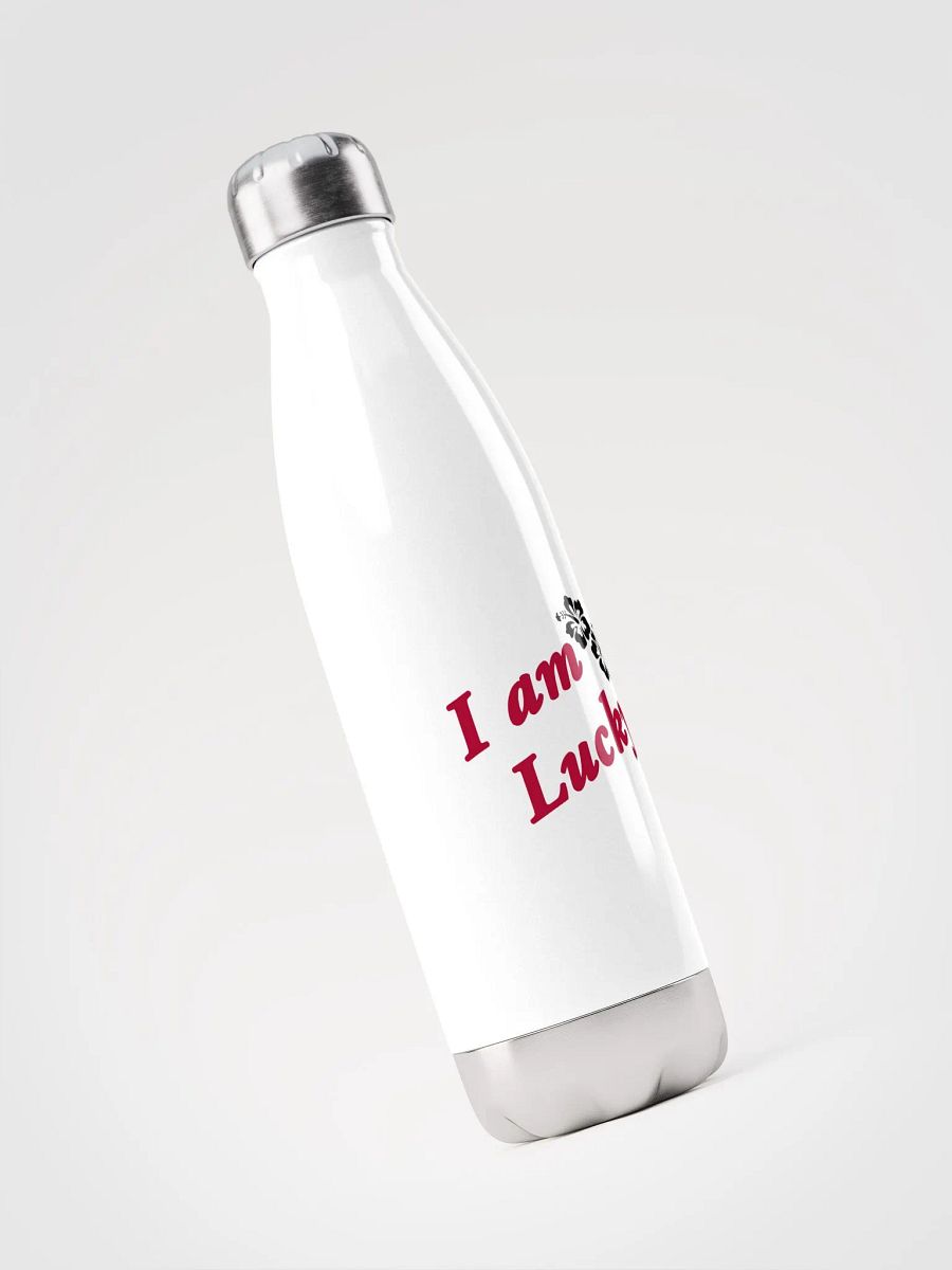 Lucky manifestation Stainless Steel Water Bottle product image (4)