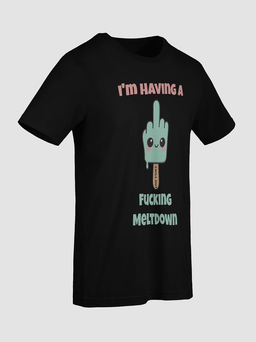 I'm Having A Fucking Meltdown Tee product image (9)