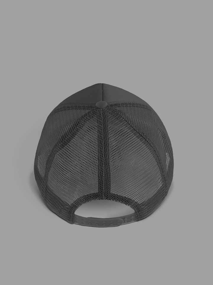 Cognitive Dissonance Hat product image (2)