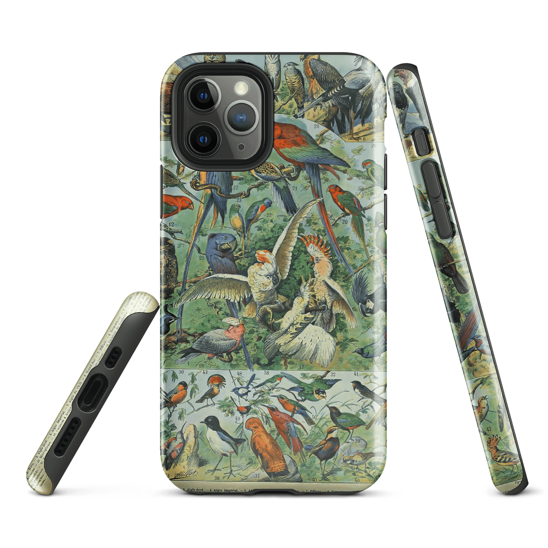Tropical Birds iPhone® Tough Case product image (1)