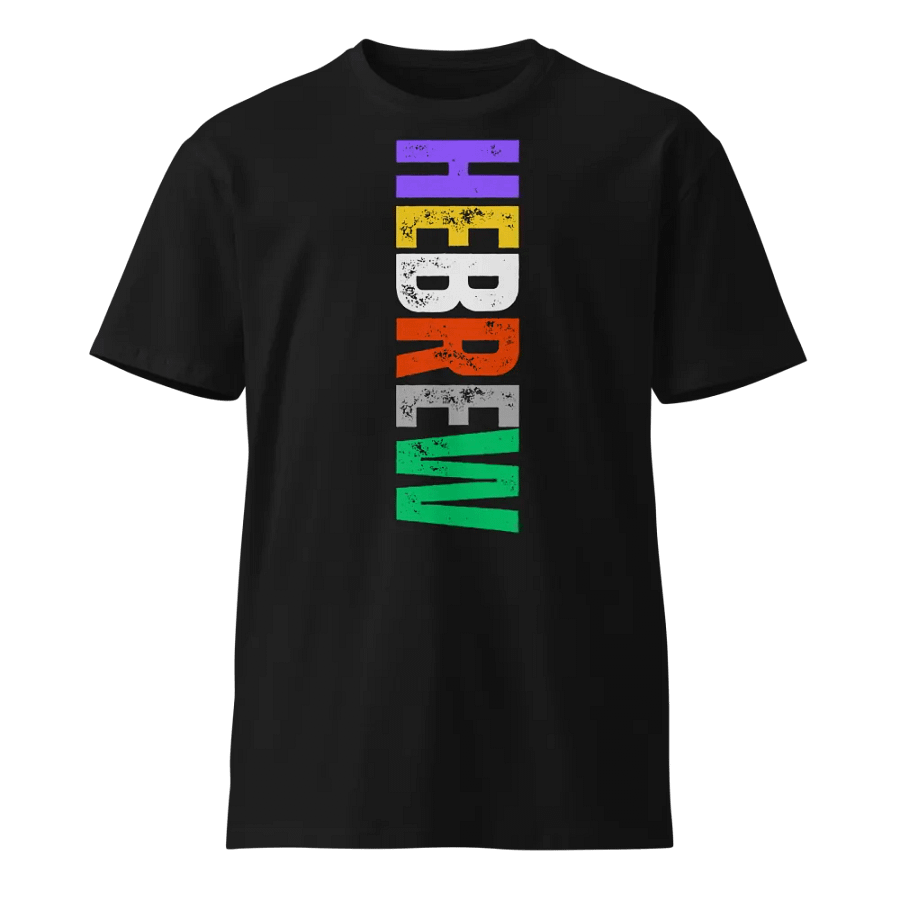 PHS Vertical Hebrew Tee product image (1)