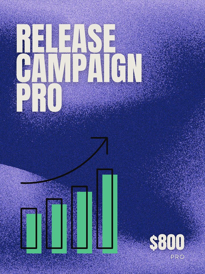 Release Campaign Pro product image (1)