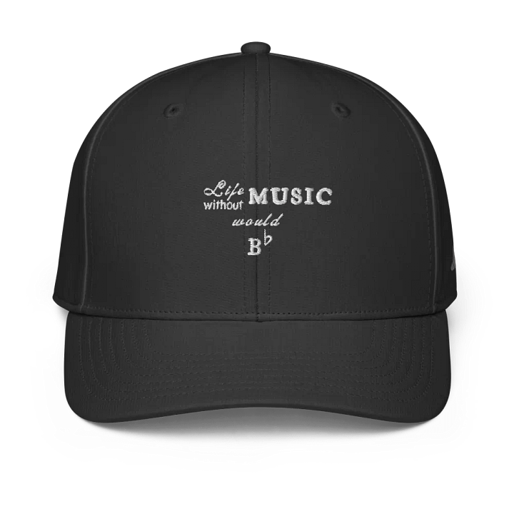 Life without MUSIC would B flat product image (1)