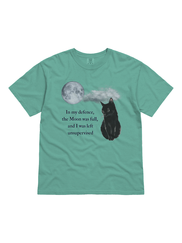 In my defence, the Moon was full... product image (1)