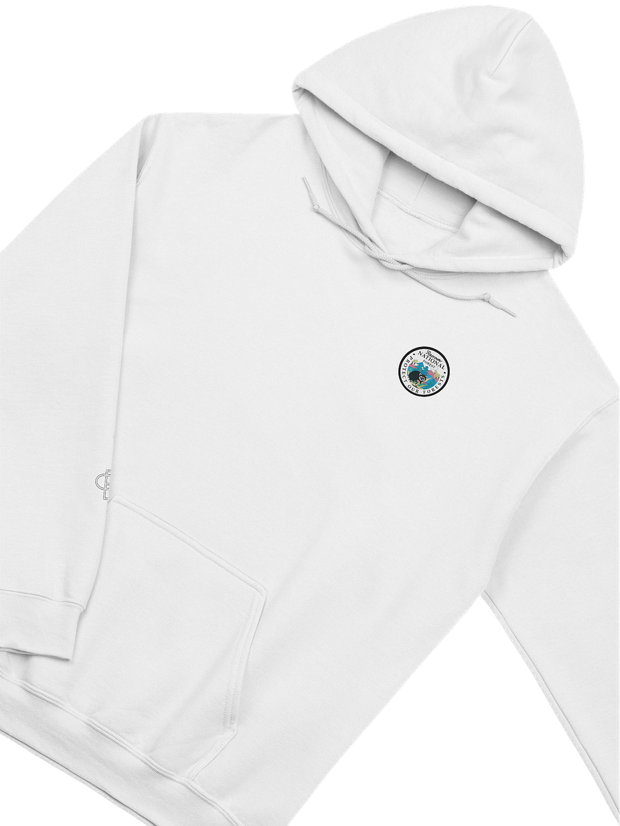 Raccoon National Forest Hoodie product image (12)