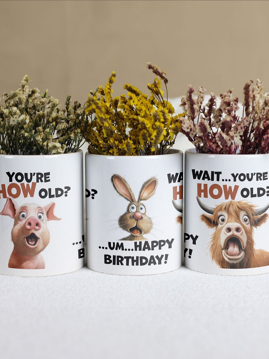 "You're HOW old?" Shocked pig, rabbit and cow. White glossy mug product image (1)